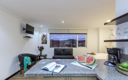 Suites y departamentos estudio ubicadas en la segunda y tercera planta del Edificio Gaviota